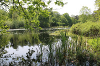 Oisterwijkse Bossen en Vennen